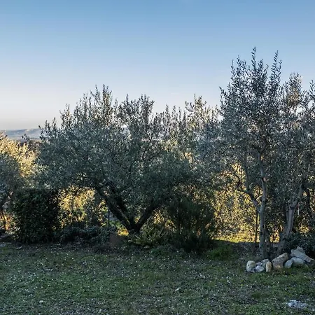 Casale Panoramico Vinombrosa Dom wakacyjny *