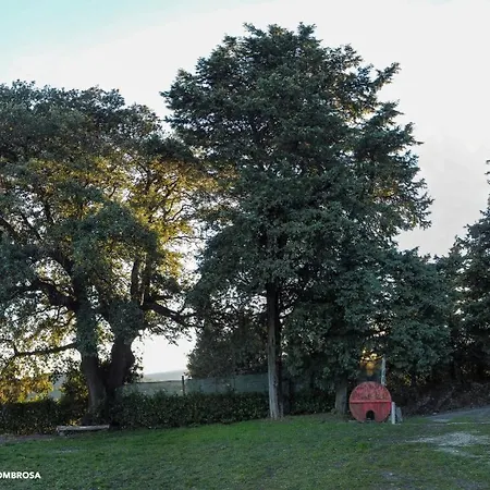 Casale Panoramico Vinombrosa Dom wakacyjny